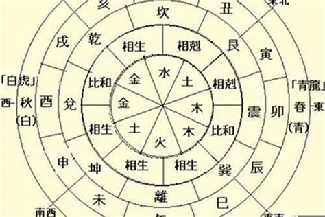 八字天干|生辰八字天干地支详细算命 生辰八字天干与地支的解读